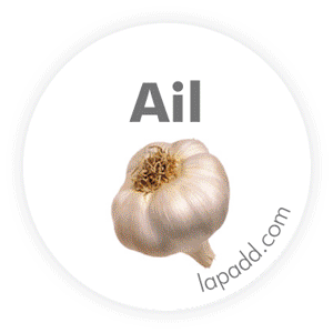 Les 33 modèles de stickers à épices LaPaDD