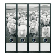 Stickers décoratifs de tranche de classeurs : modèle Moutons